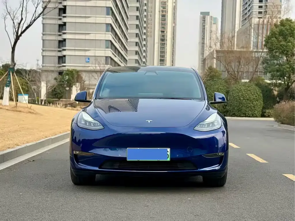 Tesla Model Y 2021 из CN, фото 3