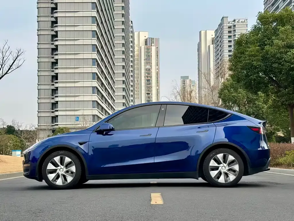 Tesla Model Y 2021 из CN, фото 6