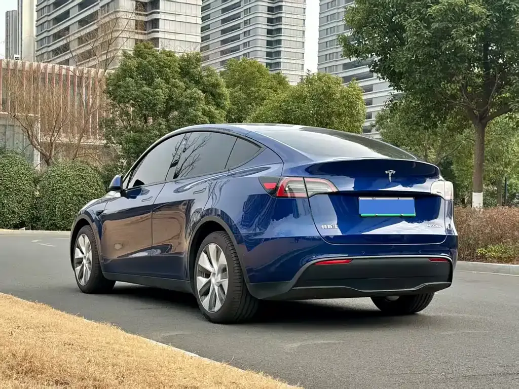 Tesla Model Y 2021 из CN, фото 5