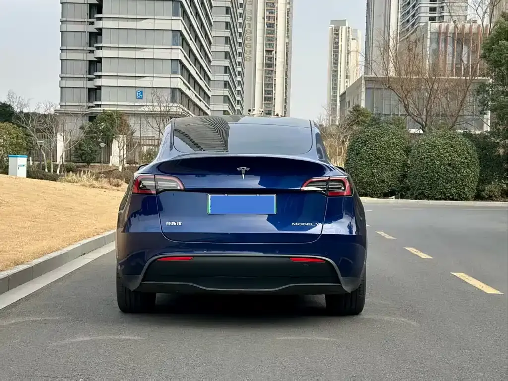 Tesla Model Y 2021 из CN, фото 8