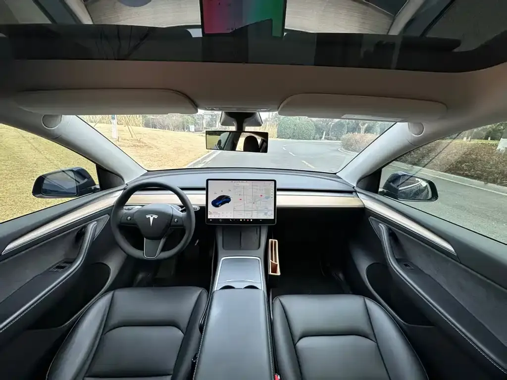 Tesla Model Y 2021 из CN, фото 9