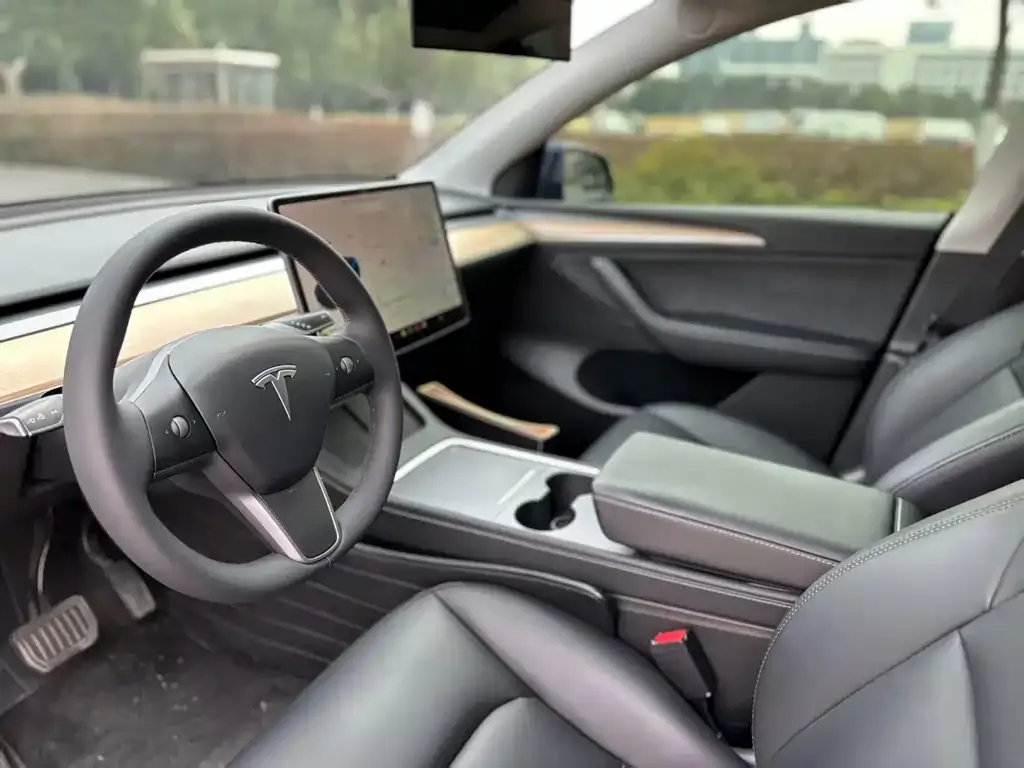 Tesla Model Y 2021 из CN, фото 4