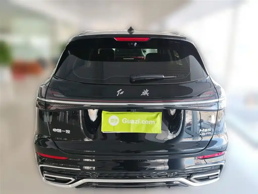 Hongqi HS5 2024 из CN, фото 9