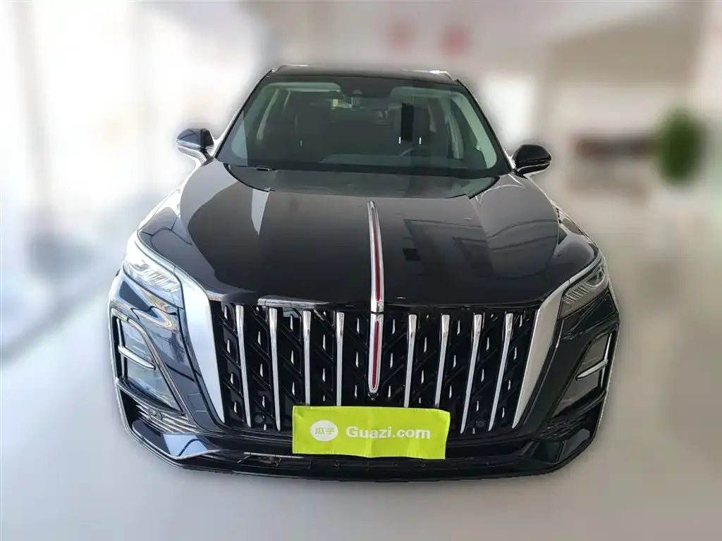 Hongqi HS5 2024 из CN, фото 10