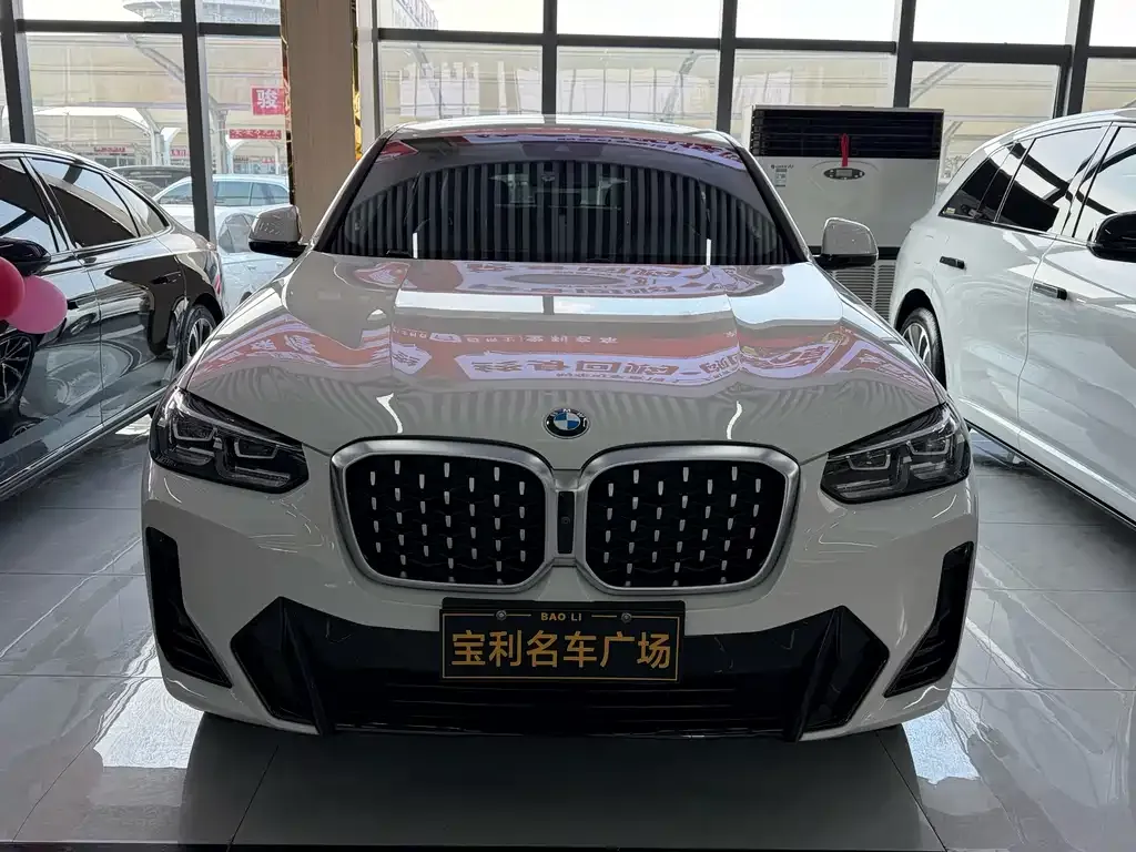 BMW X4 2022 из CN, фото 6