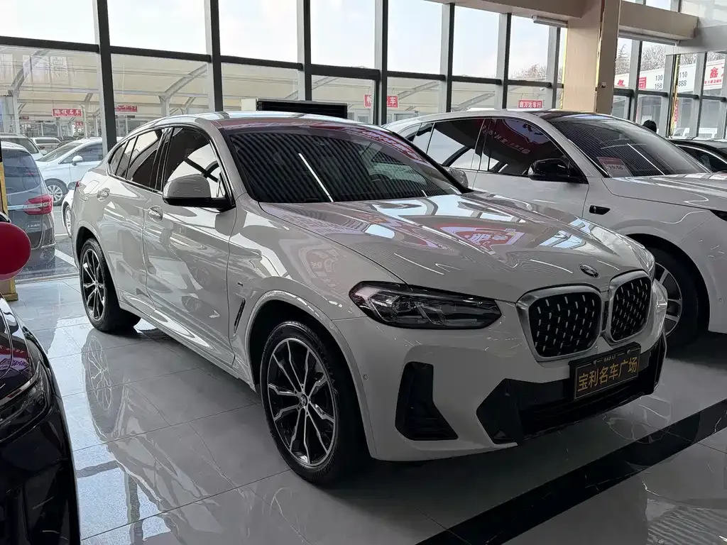 BMW X4 2022 из CN, фото 10