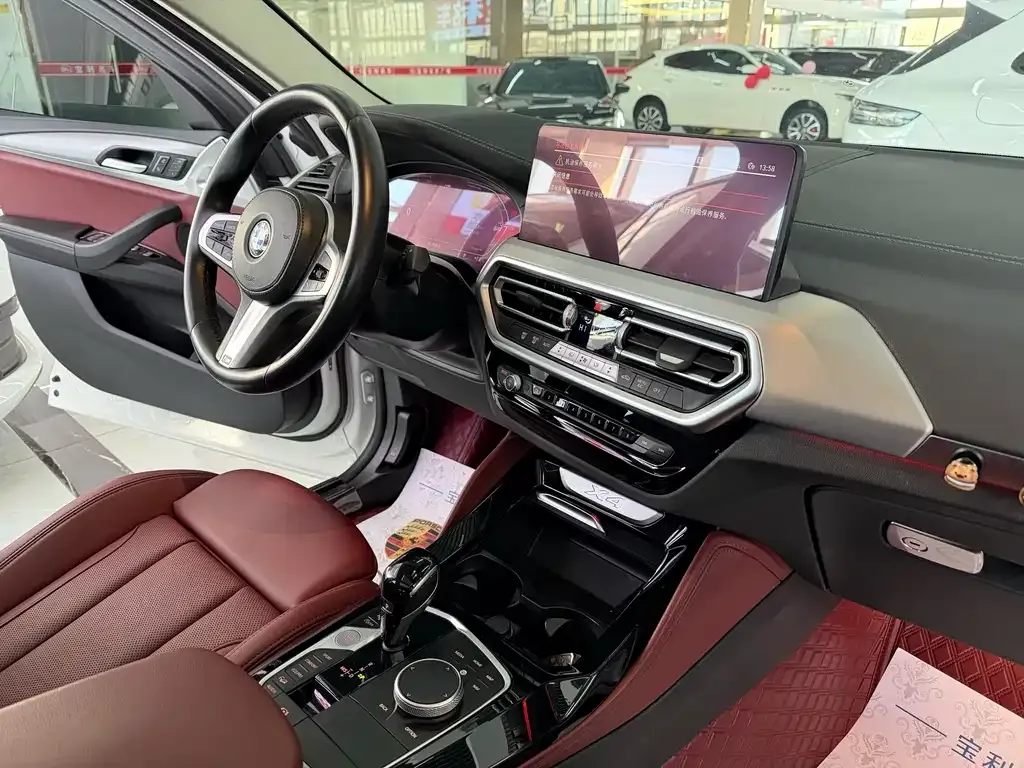 BMW X4 2022 из CN, фото 4