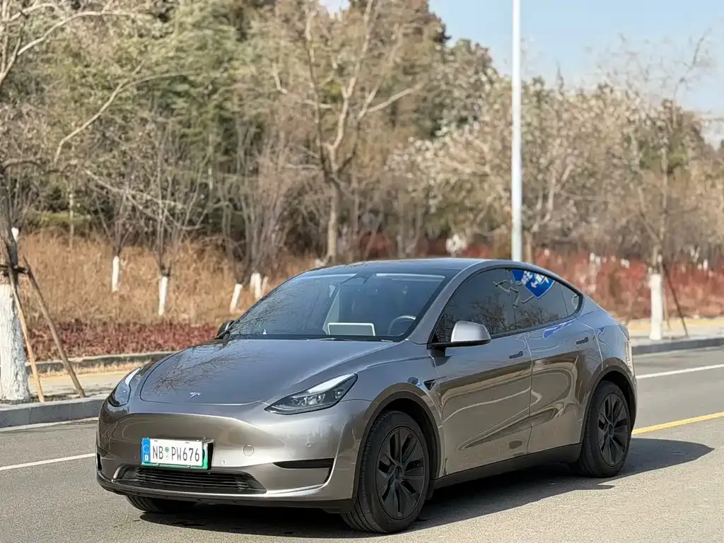 Tesla Model Y — фото 1