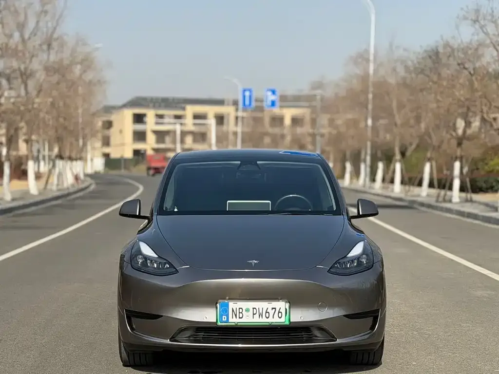 Tesla Model Y — фото 8