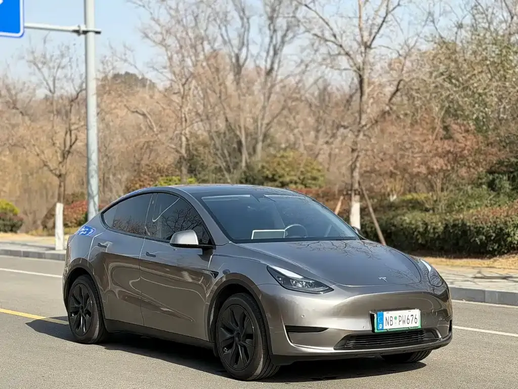 Tesla Model Y — фото 10