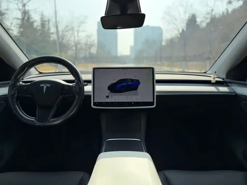 Tesla Model Y — фото 2