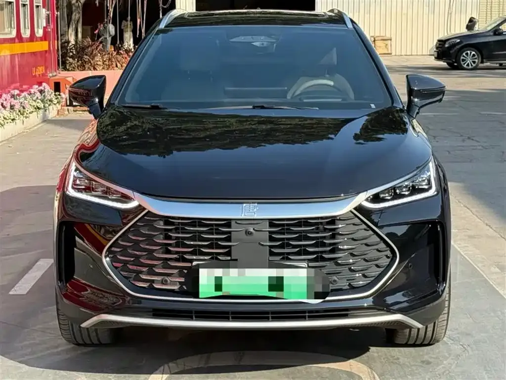 BYD Tang New Energy 2025 из CN, фото 2