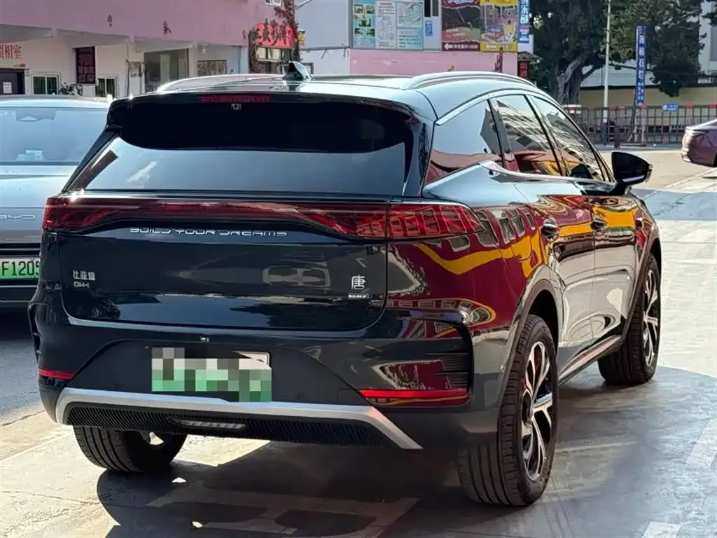 BYD Tang New Energy 2025 из CN, фото 3