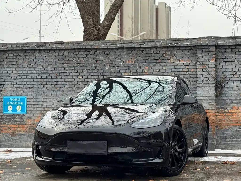 Tesla Model 3 — фото 1