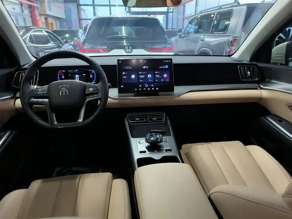 BYD Pro New Energy 2025 из CN, фото 8