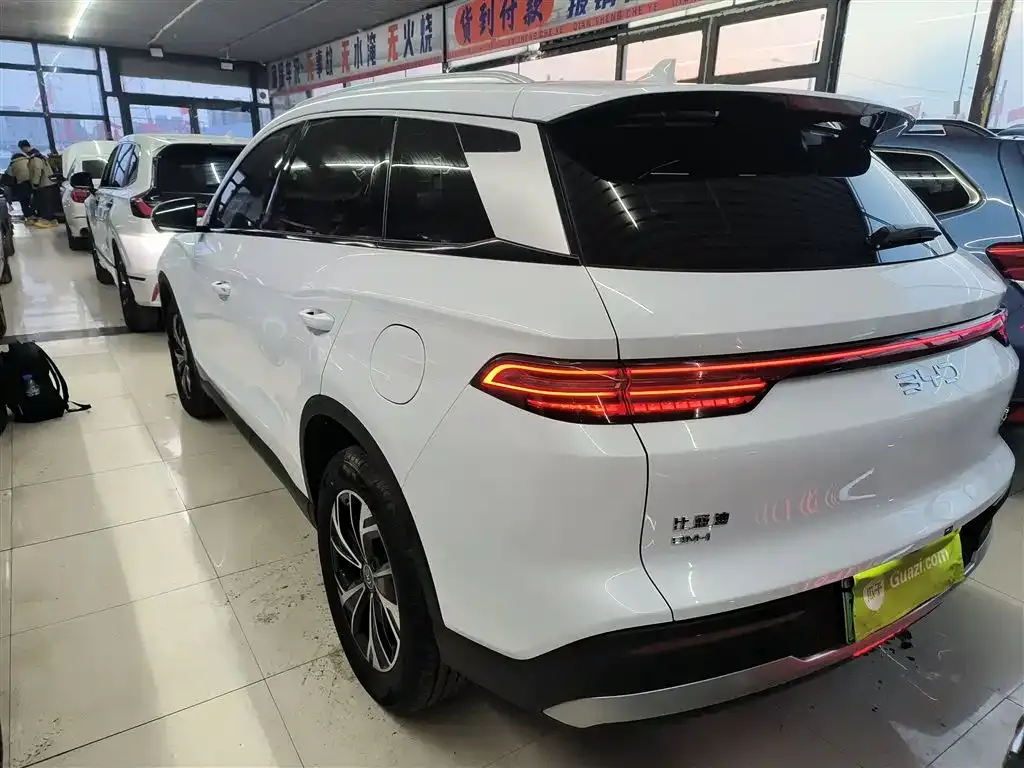 BYD Pro New Energy 2025 из CN, фото 10