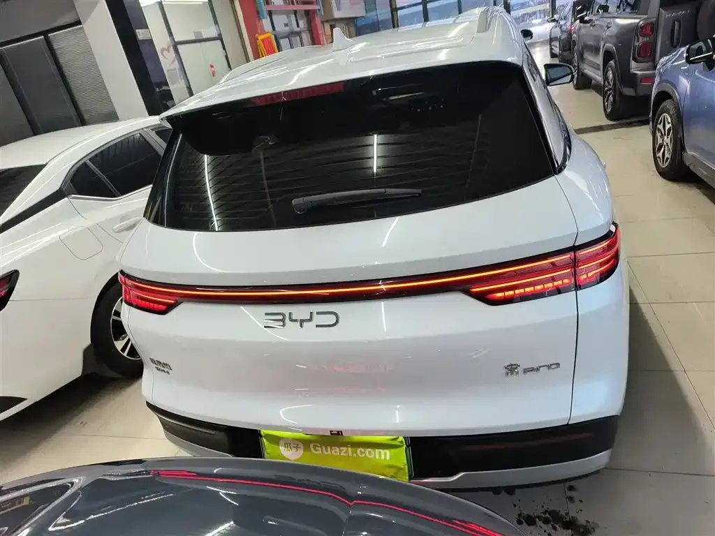 BYD Pro New Energy 2025 из CN, фото 4