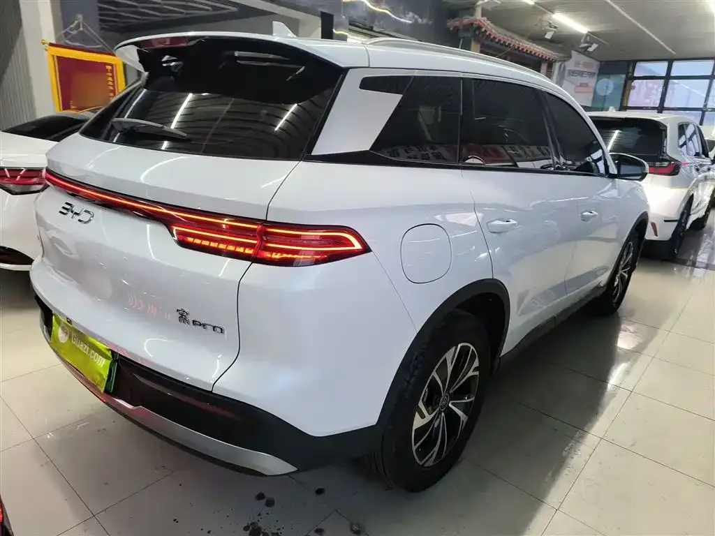 BYD Pro New Energy 2025 из CN, фото 9
