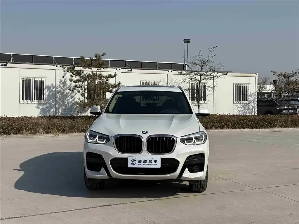 BMW X3 2021 из CN, фото 6