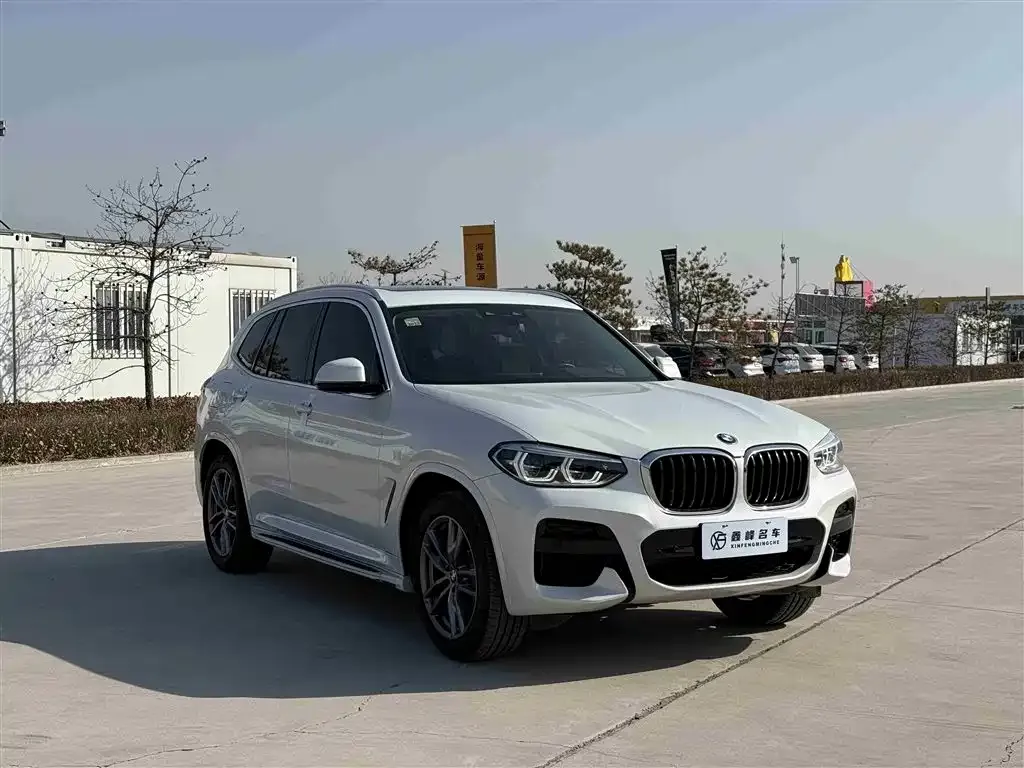 BMW X3 2021 из CN, фото 10