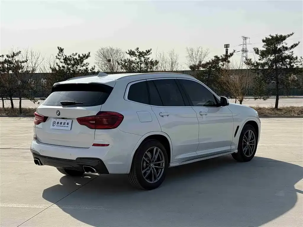 BMW X3 2021 из CN, фото 4