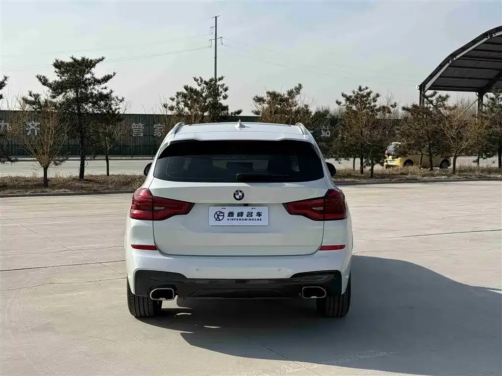 BMW X3 2021 из CN, фото 8