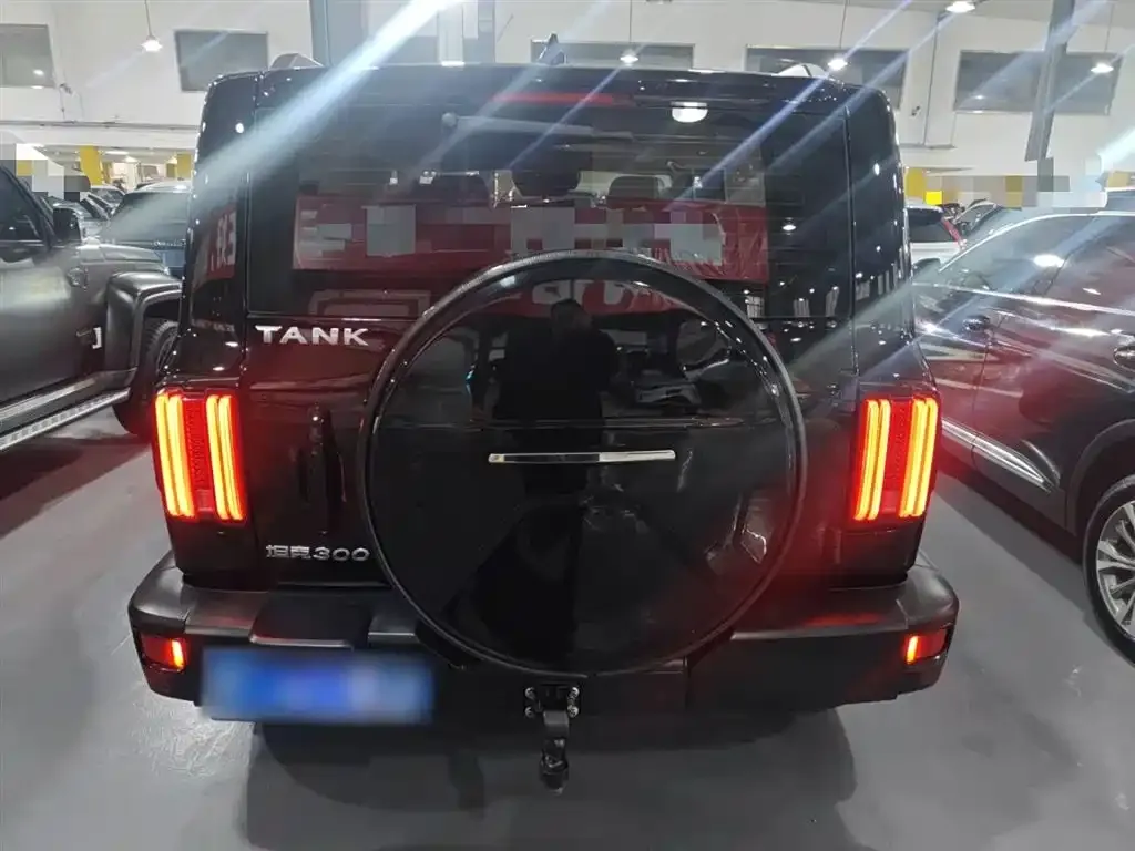 Tank 300 2021 из CN, фото 10