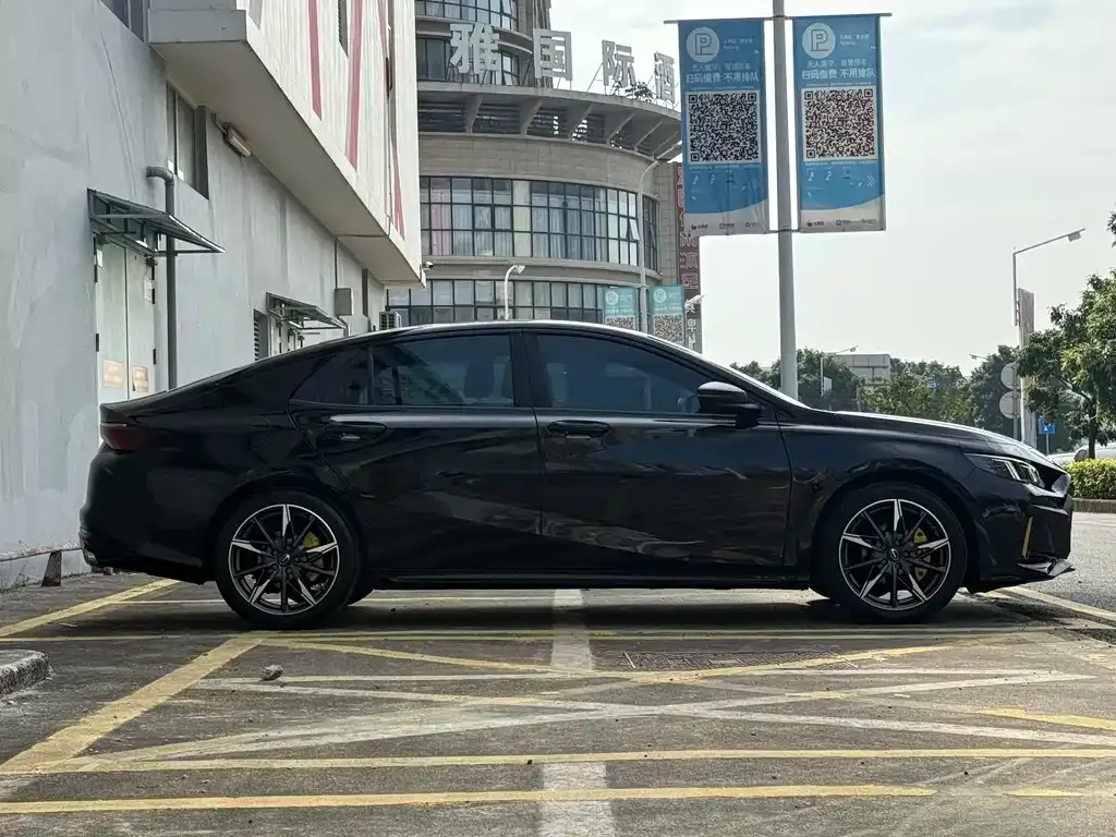 GAC Motor Shadow Leopard — фото 2