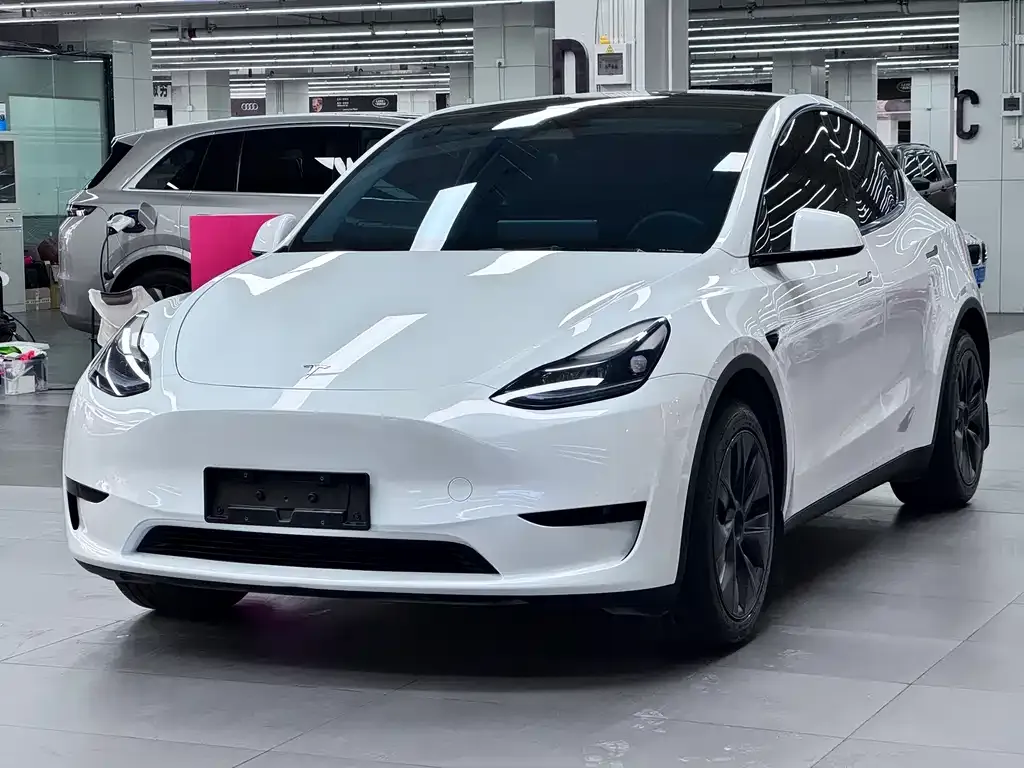 Tesla Model Y — фото 1