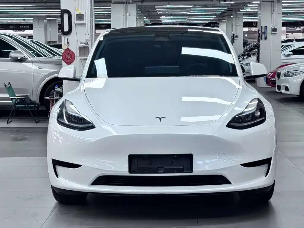 Tesla Model Y — фото 6