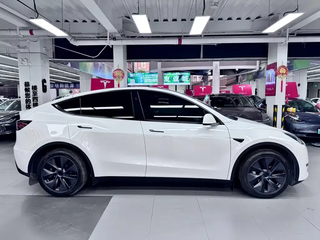 Tesla Model Y — фото 10