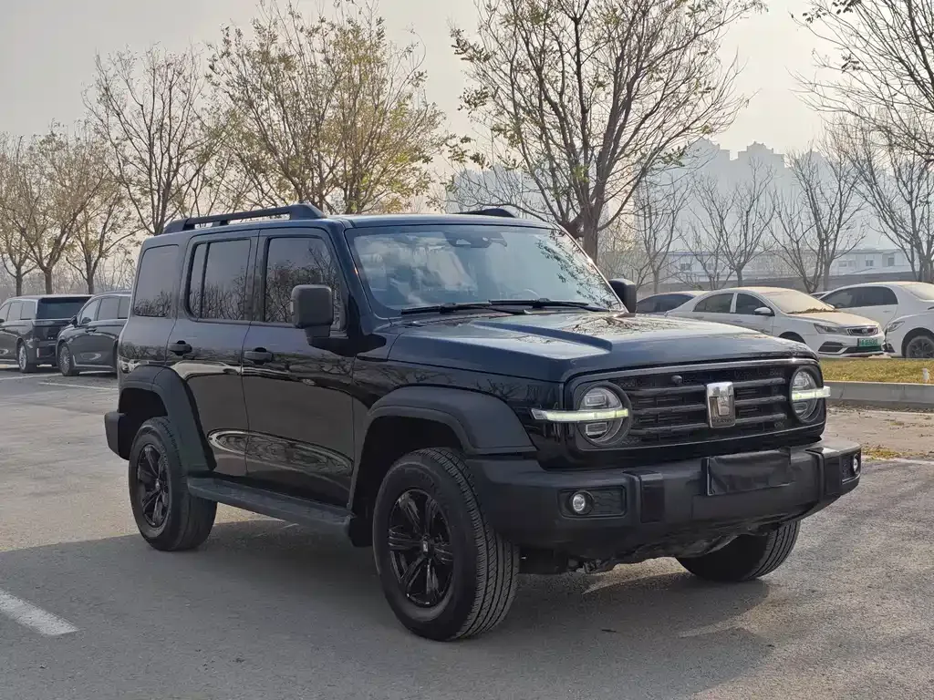 Tank 300 2023 из CN, фото 3