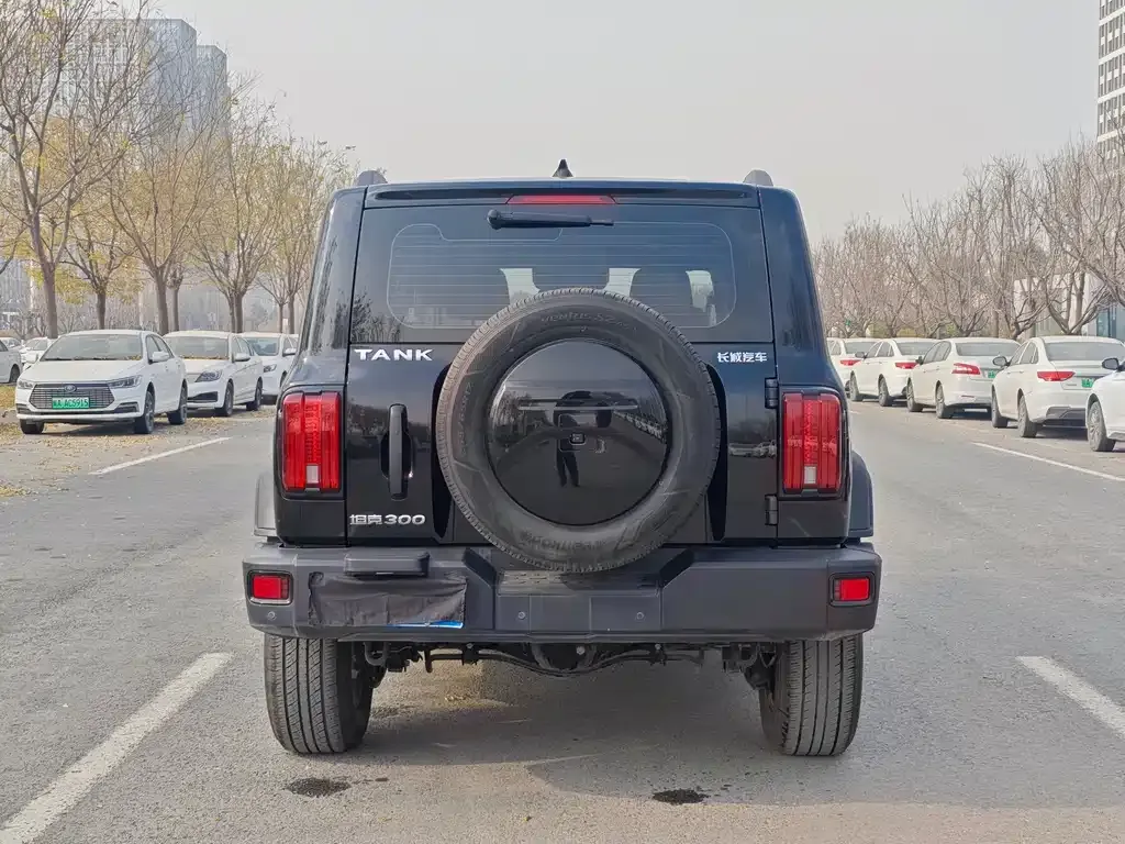 Tank 300 2023 из CN, фото 6