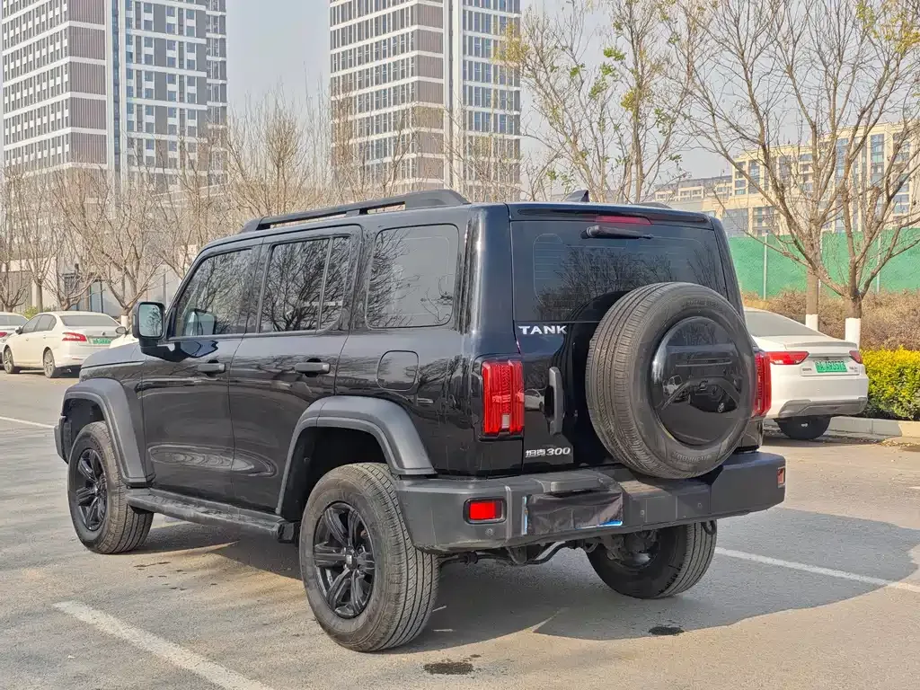 Tank 300 2023 из CN, фото 7