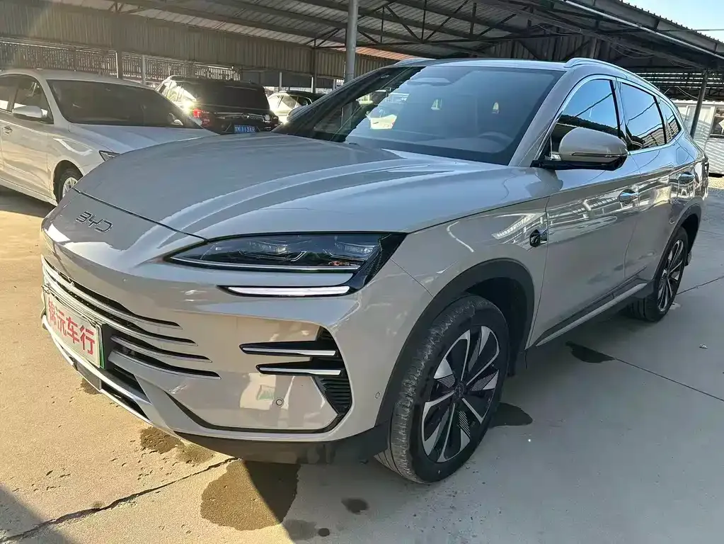 BYD PLUS New Energy — фото 1