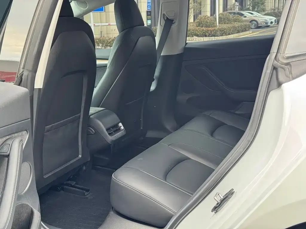 Tesla Model 3 2023 из CN, фото 3