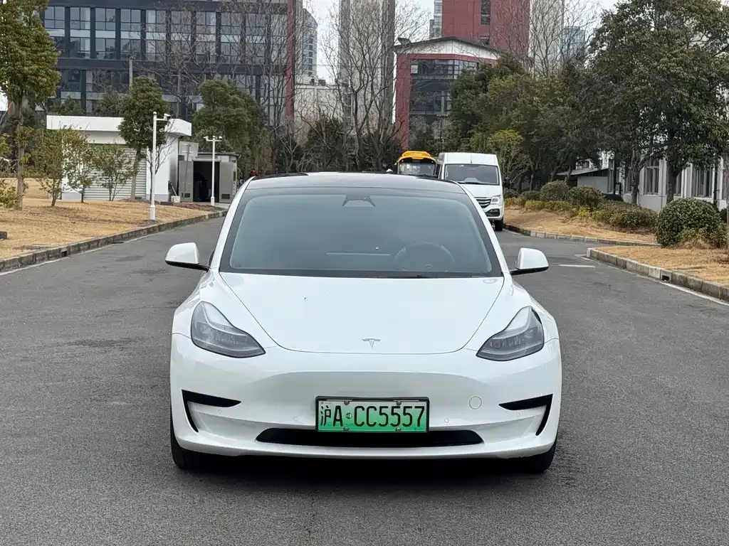 Tesla Model 3 2023 из CN, фото 10