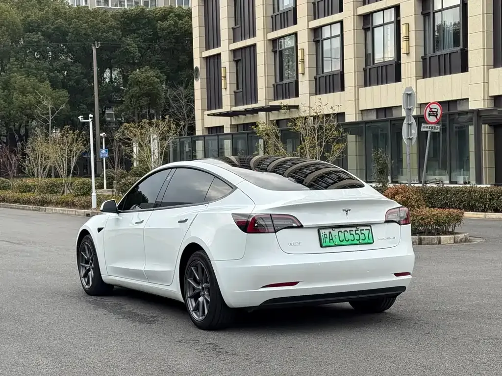Tesla Model 3 2023 из CN, фото 6