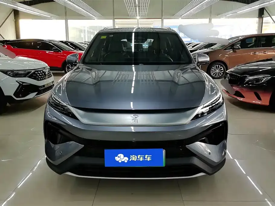 BYD Pro New Energy 2025 из CN, фото 10