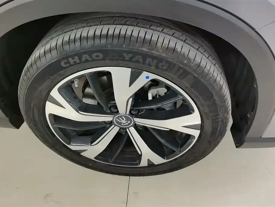BYD Pro New Energy 2025 из CN, фото 6
