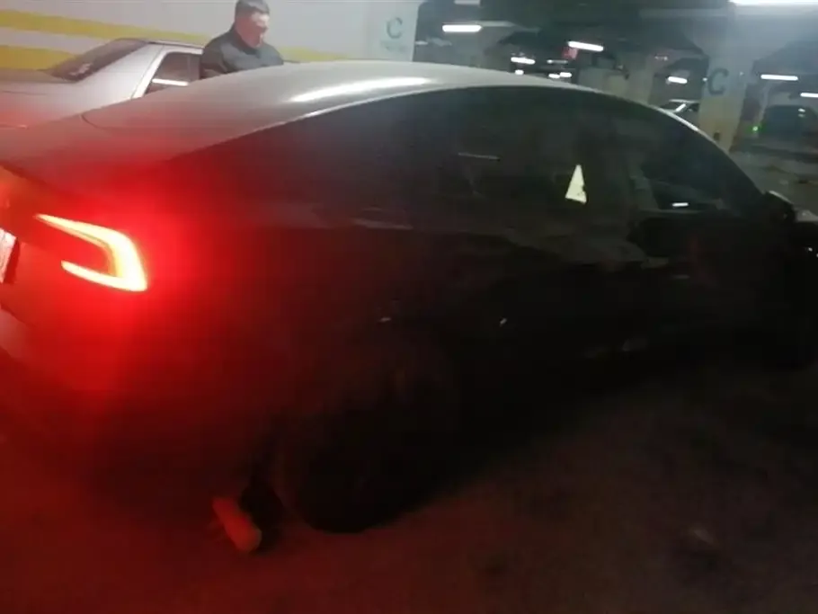 Tesla Model 3 2024 из CN, фото 2