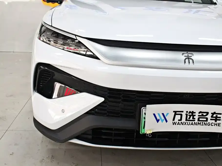 BYD Pro New Energy — фото 3