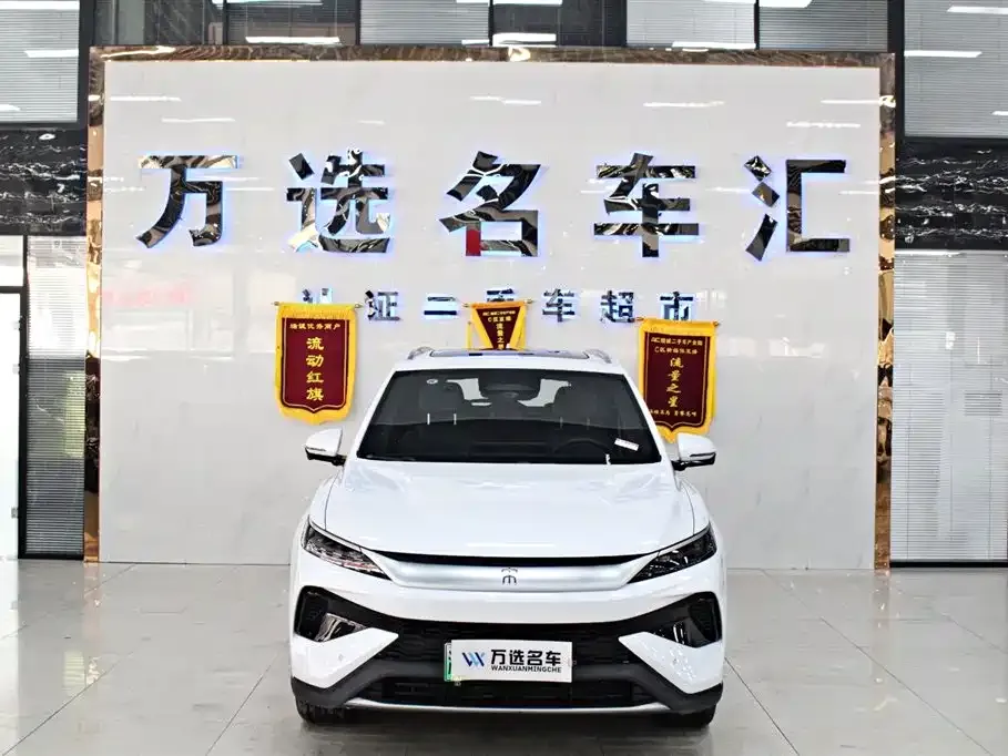 BYD Pro New Energy — фото 9