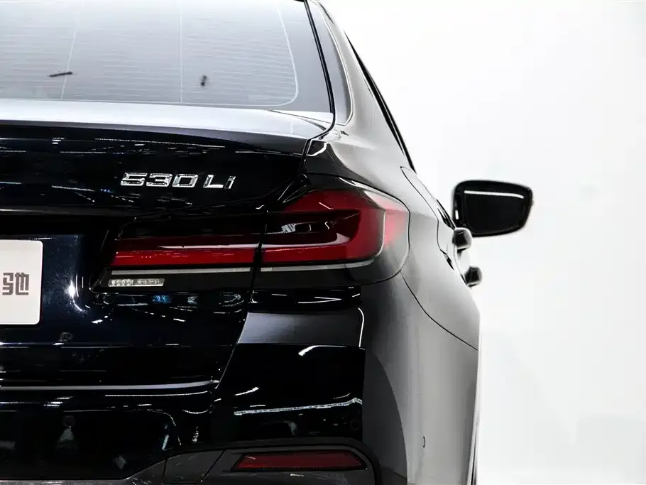 BMW 5 Series 2023 из CN, фото 3