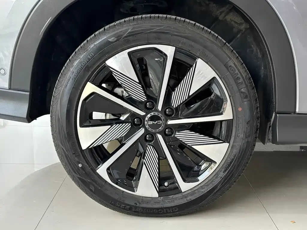 BYD PLUS New Energy — фото 6