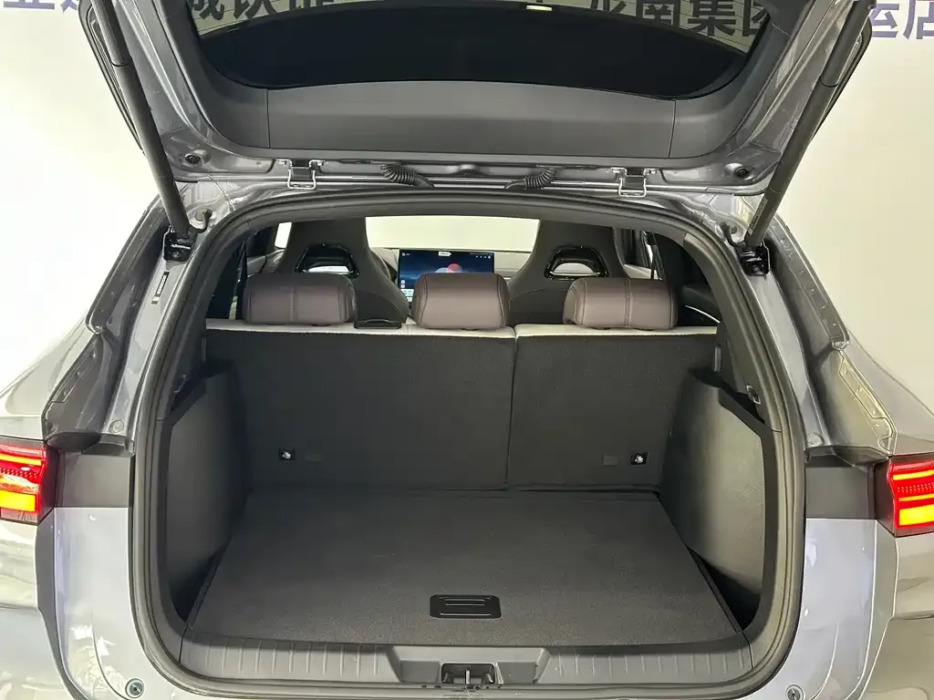 BYD PLUS New Energy — фото 10
