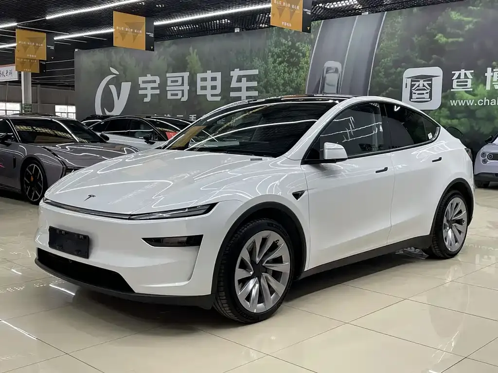 Tesla Model Y — фото 1