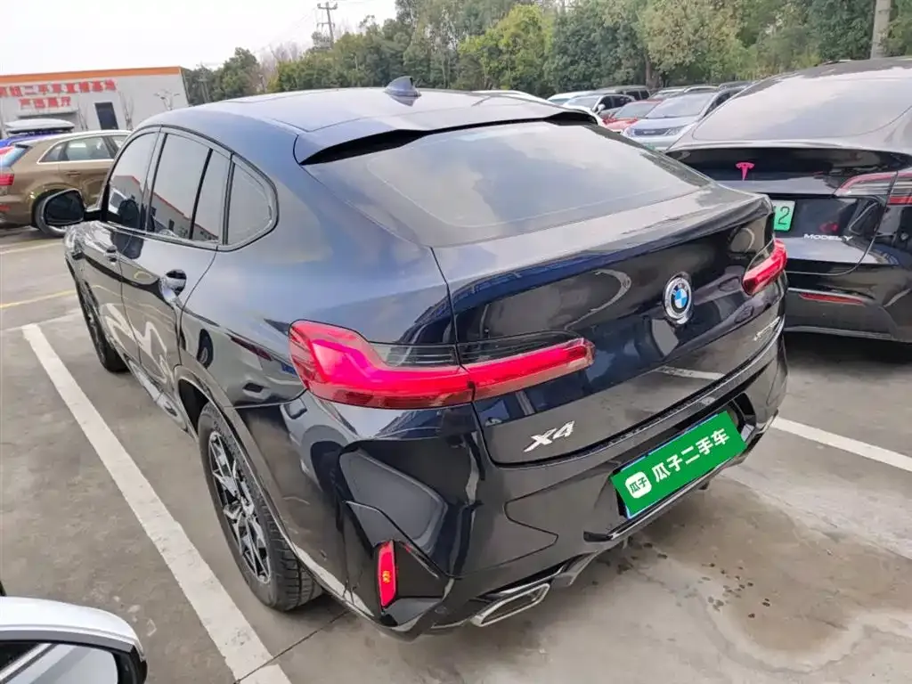 BMW X4 — фото 9