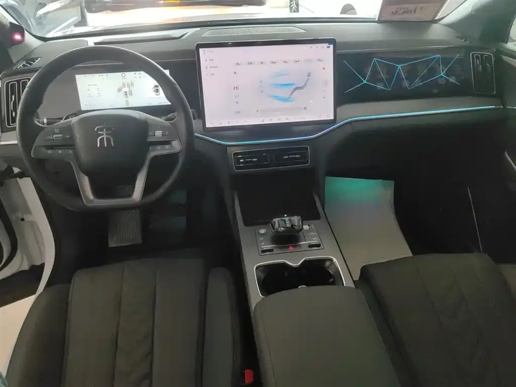 BYD L DM-i — фото 10