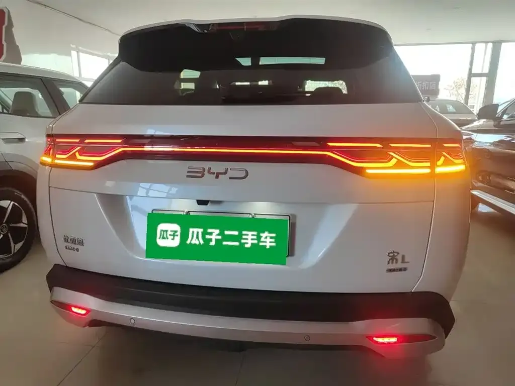BYD L DM-i — фото 5